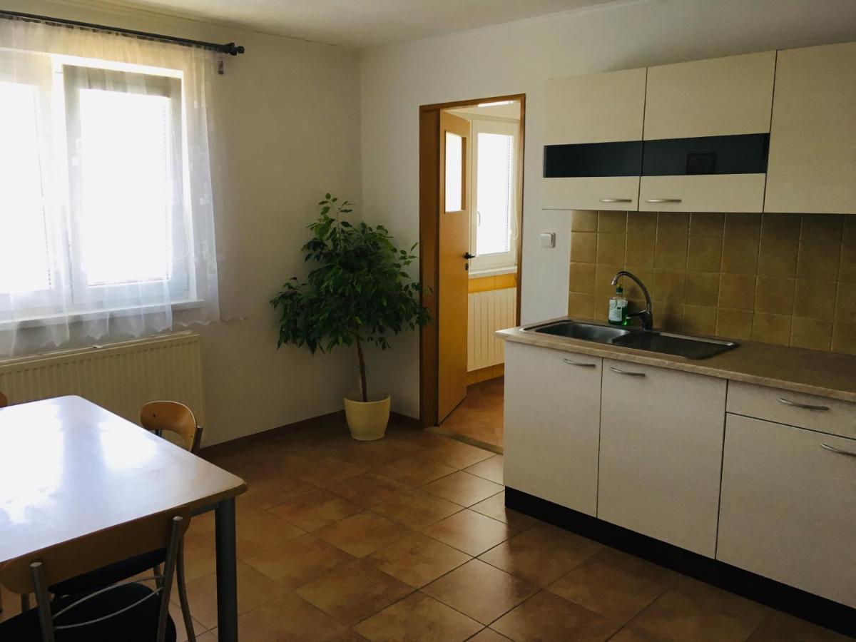 Ubytovani U Ropaku Horní Slavkov Extérieur photo